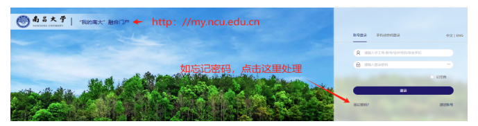 907194d887754adebdb646766494c0b9.png image.png